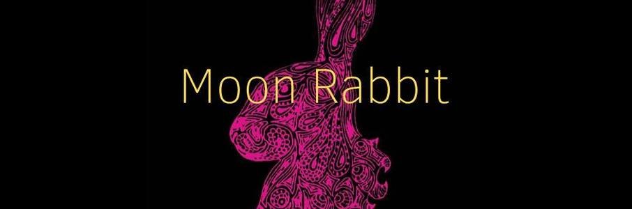 Rave Meditation Moon Rabbit