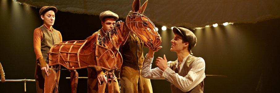 TheatreHD: Боевой конь