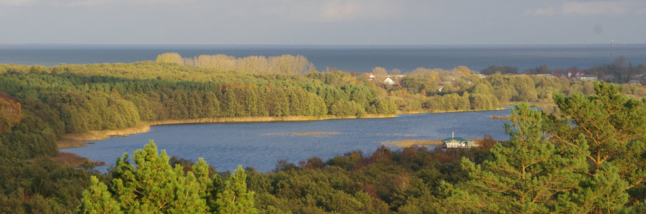 Куршская коса калининград фото вид сверху