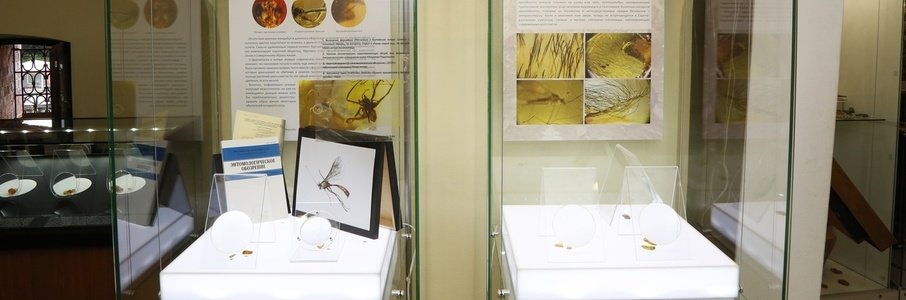 Выставки инклюзов в постоянной экспозиции – «Наука в музее» и «Шерсть в янтаре»