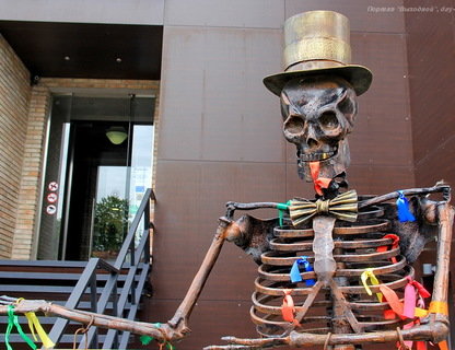 Музей черепов и скелетов