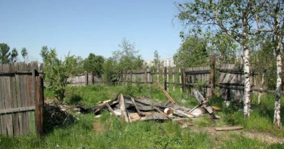 Трое калининградцев ограбили и убили двоих в садовом обществе - Новости .