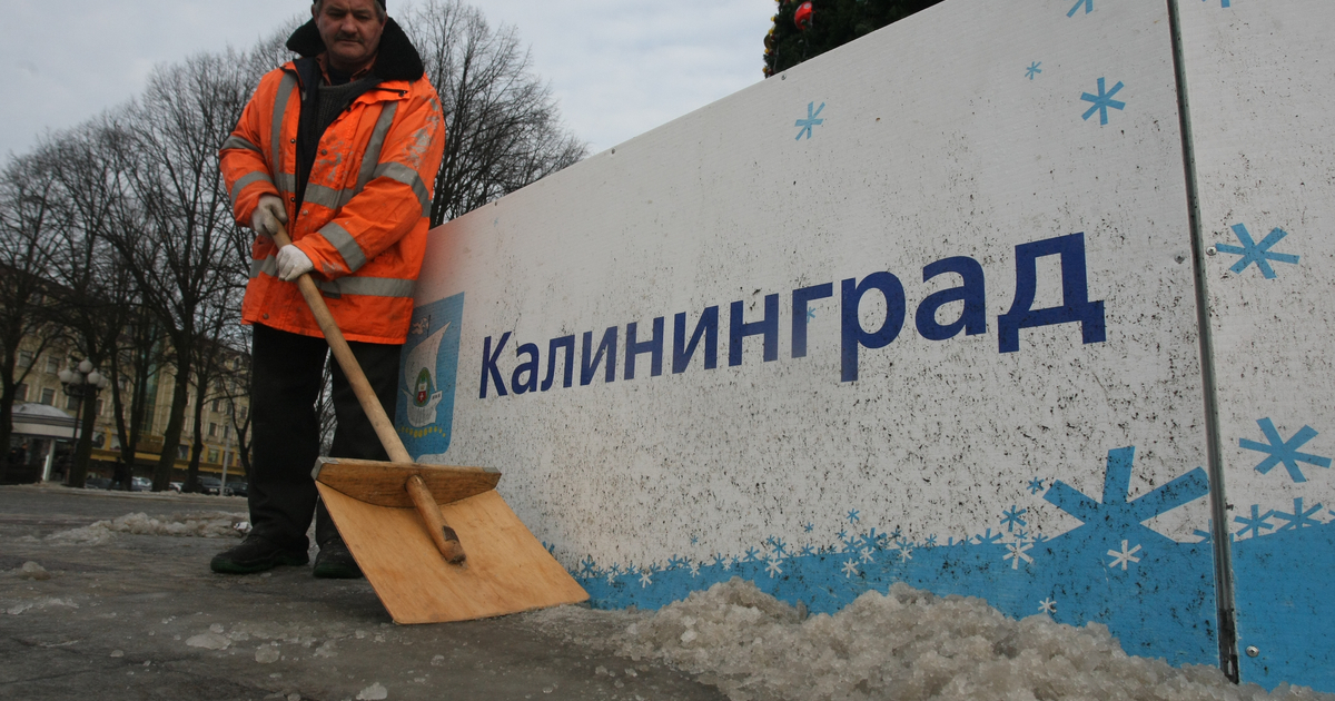 Змеи калининградской области фото и название