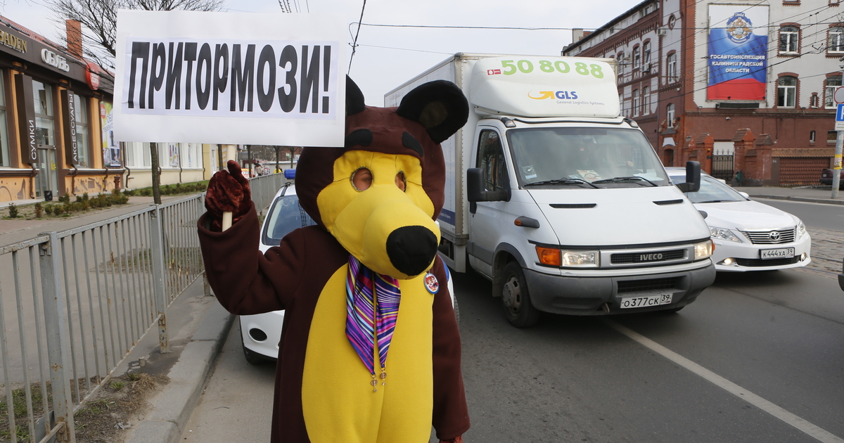 Медведь бизнес авто