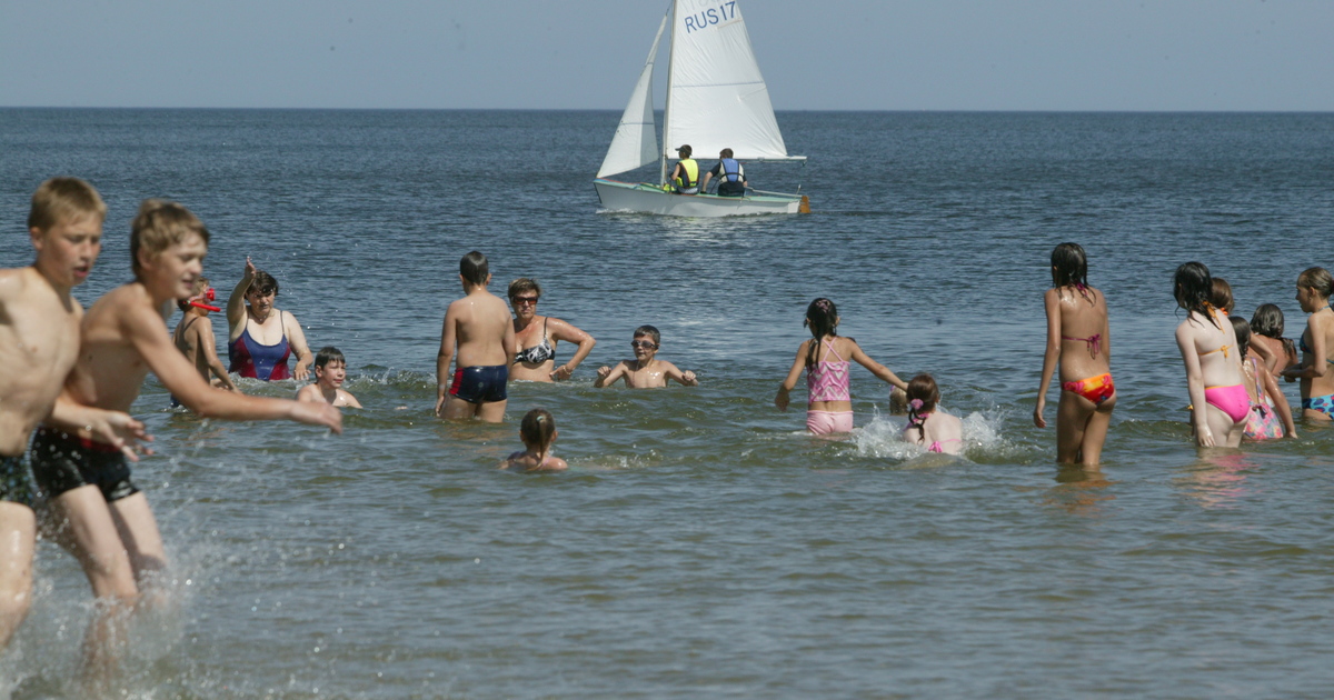 Какого градуса море. Море в Калининграде в августе. Купание в Балтийском море. Температура воды в Балтийском море летом в Калининграде. Море в Калининграде в июле.