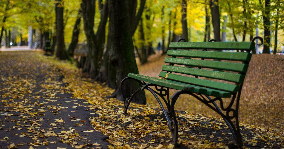 Парки калининграда список и фото