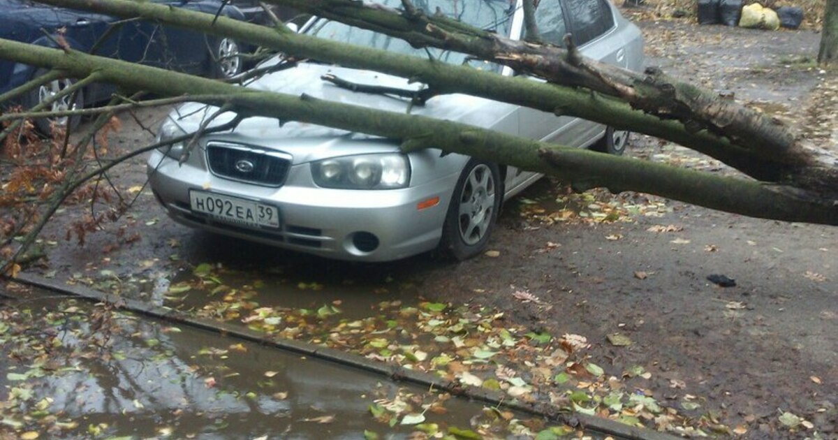 Привезти машину из калининграда