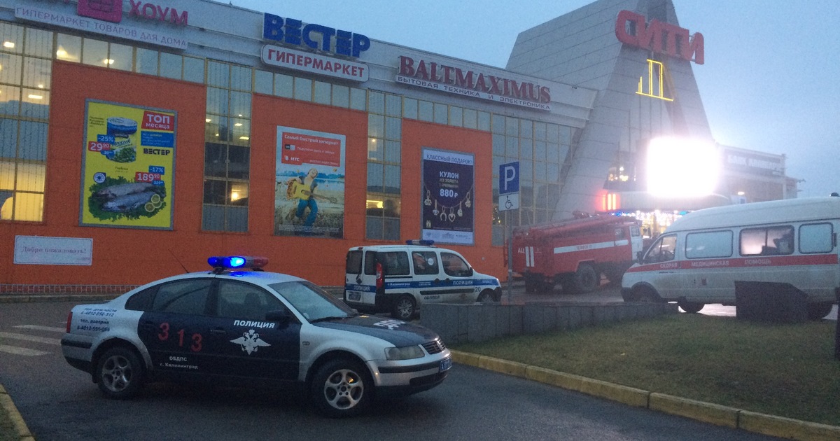 Сити Калининград Магазины
