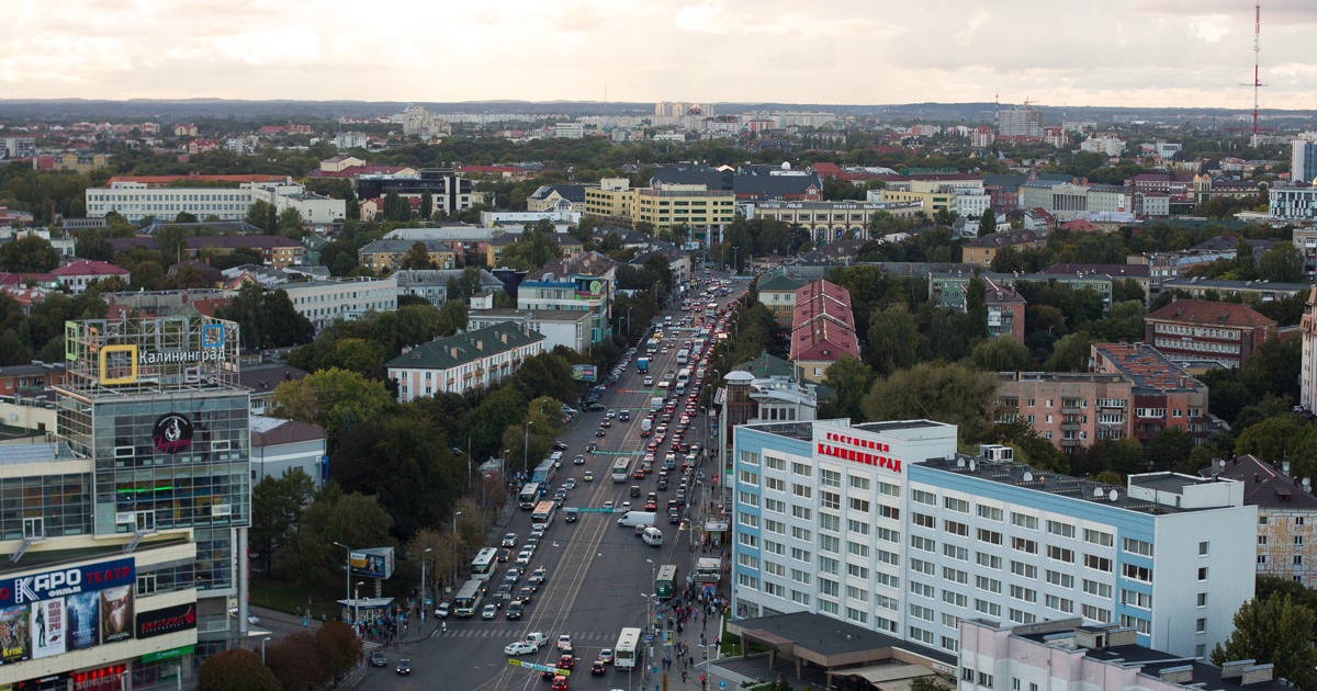 Гадюка в калининградской области фото