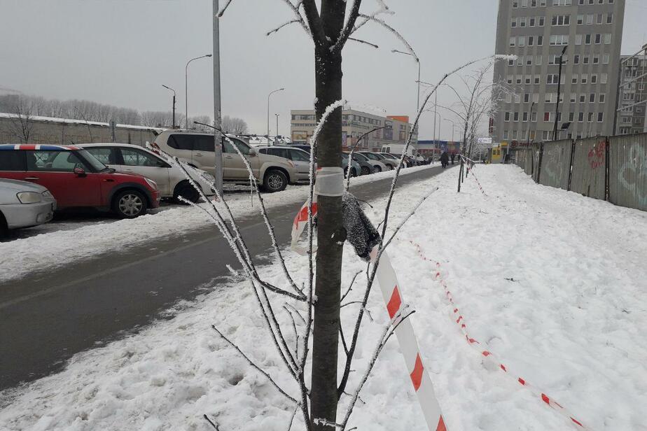 Убийство в долгопрудном вчера фото