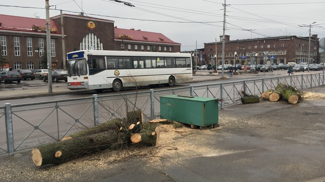 Очевидцы: возле