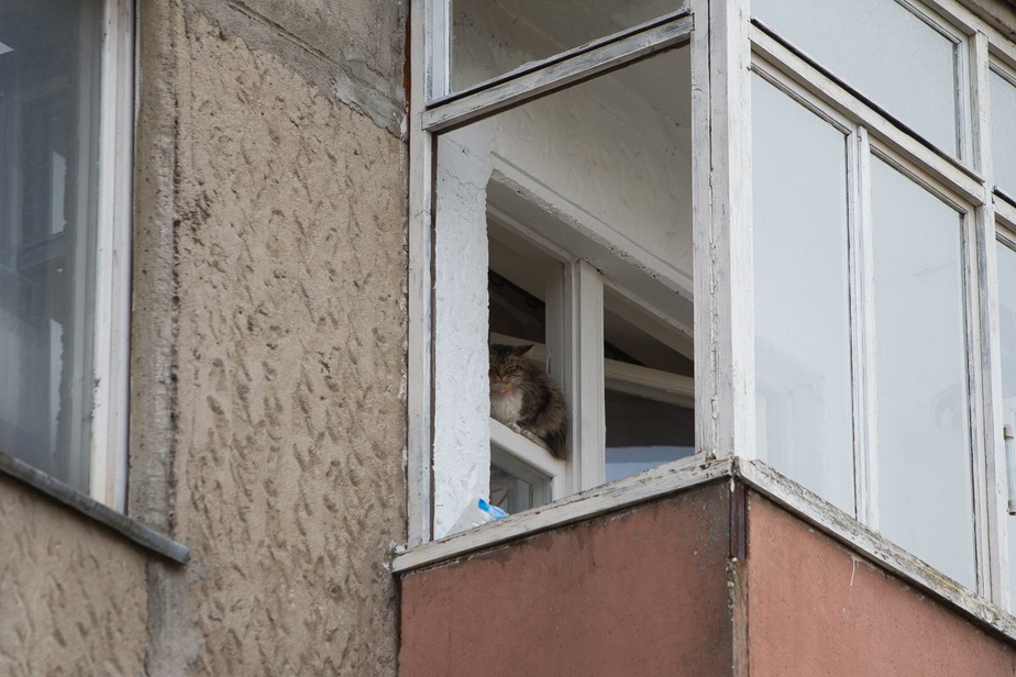 Архив "Клопс"