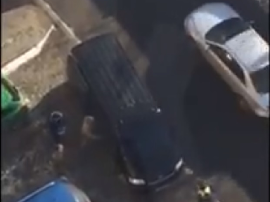 Кадр видеозаписи