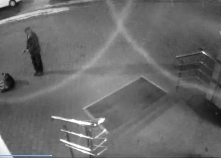 Фото: кадр из видеозаписи камеры наблюдения