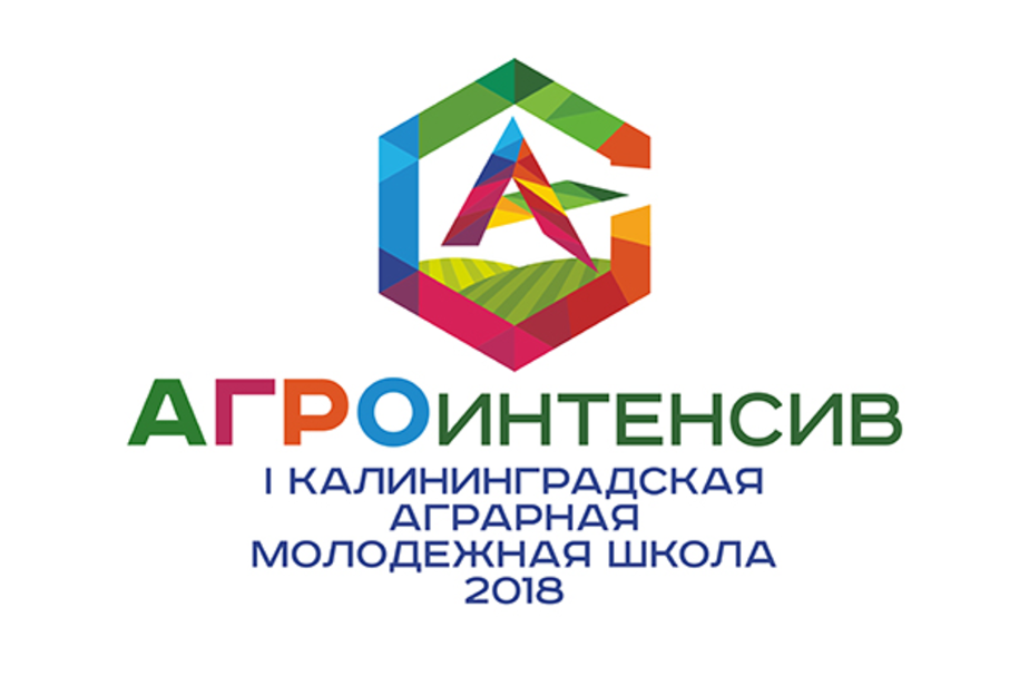 Фото: пресс-служба правительства Калининградской области