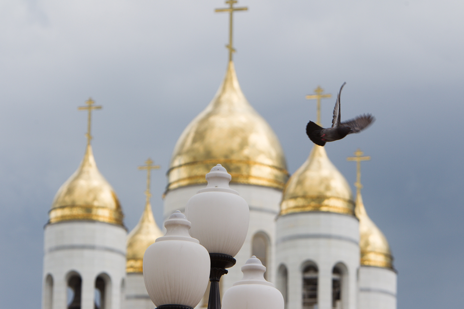 Архив "Клопс"