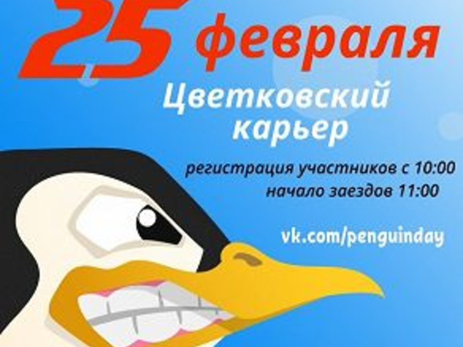 Группа "День пингвина 2018" / "ВКонтакте"