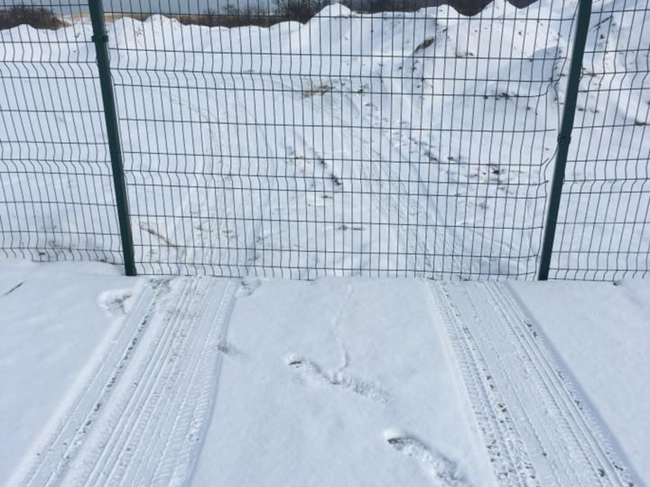 Алексей Заливатский / Facebook