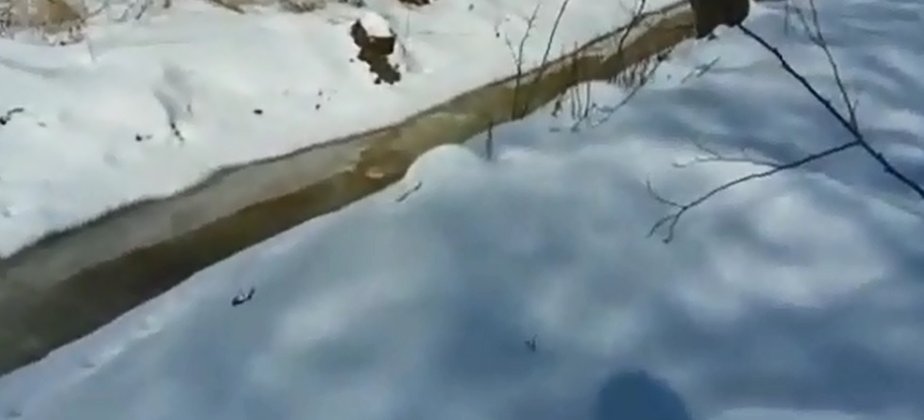 Фото: кадр из видео