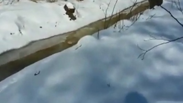 Очевидцы сообщили об утечке нефтепродуктов в озеро возле пос. Переславское (видео)