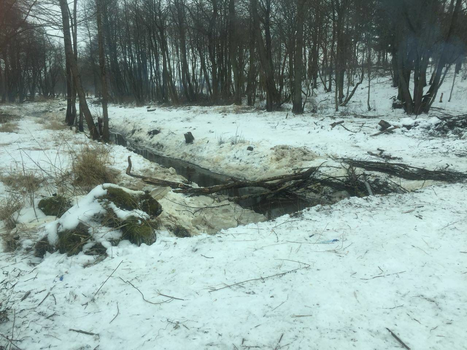 Фото: предоставлено организацией "Зелёный фронт"