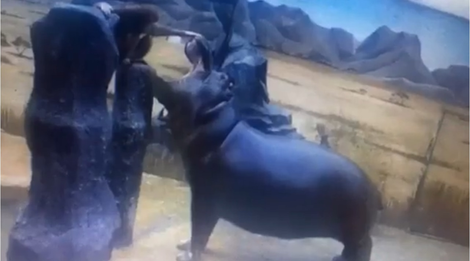 Скриншот видеозаписи