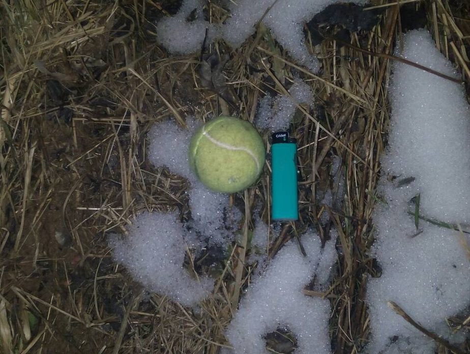 Фото: УФСИН России по Калининградской области