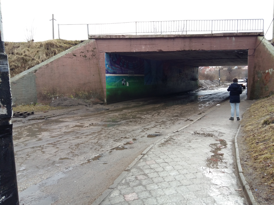 Фото: Александр Тимофеев