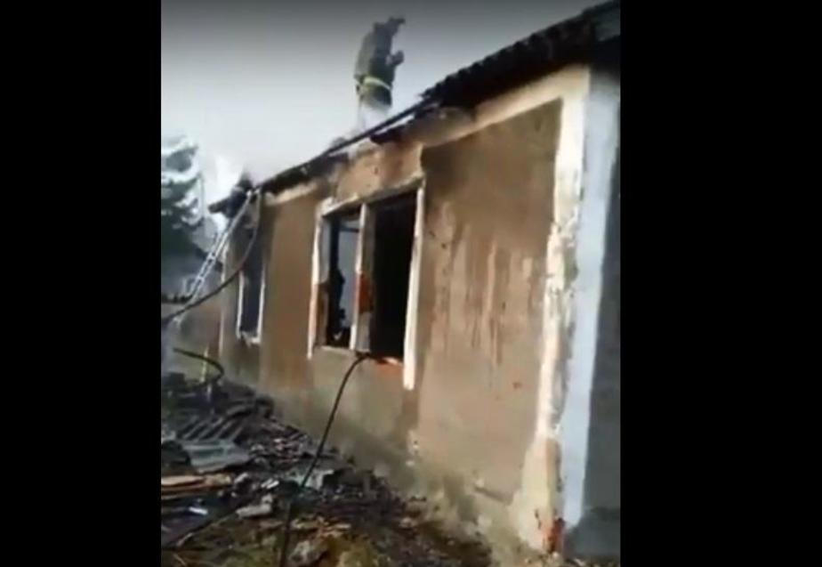 Фото: кадр из видео