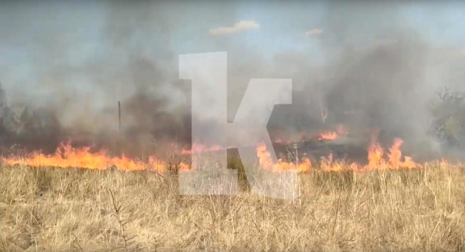 Кадр видеозаписи