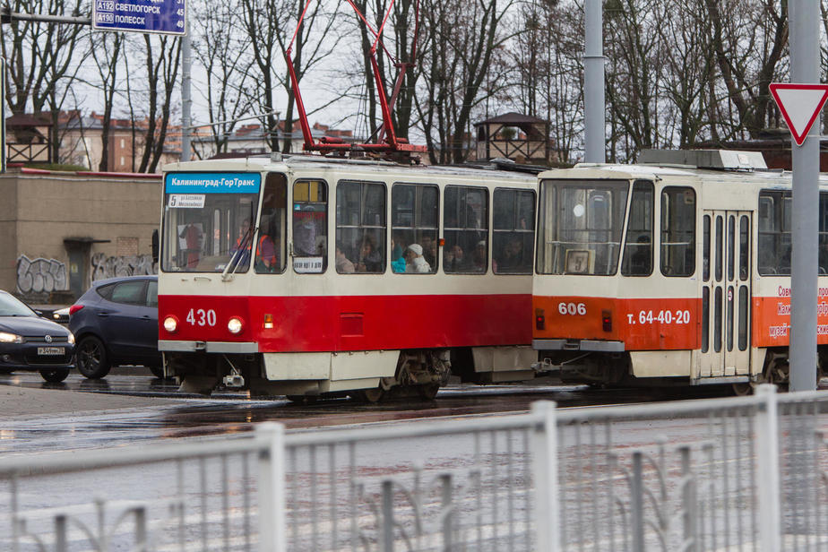 Городской транспорт калининграда фото