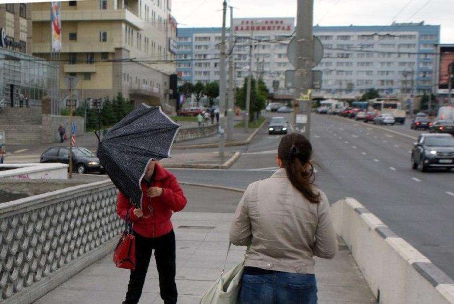 Архив "Клопс"