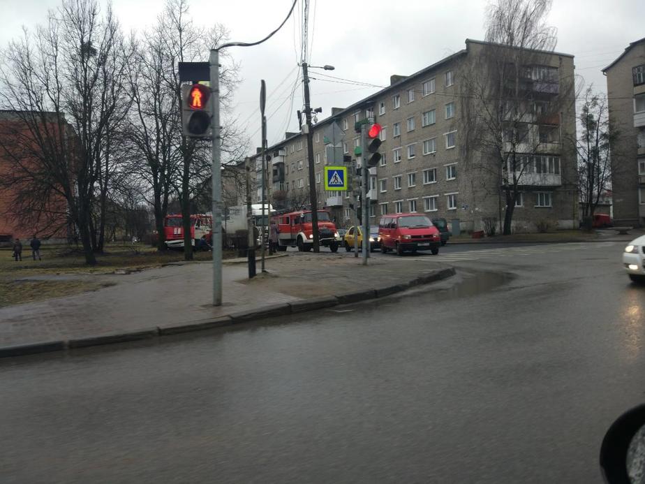 Фото сообщества "Новый Черняховск" "ВКонтакте"