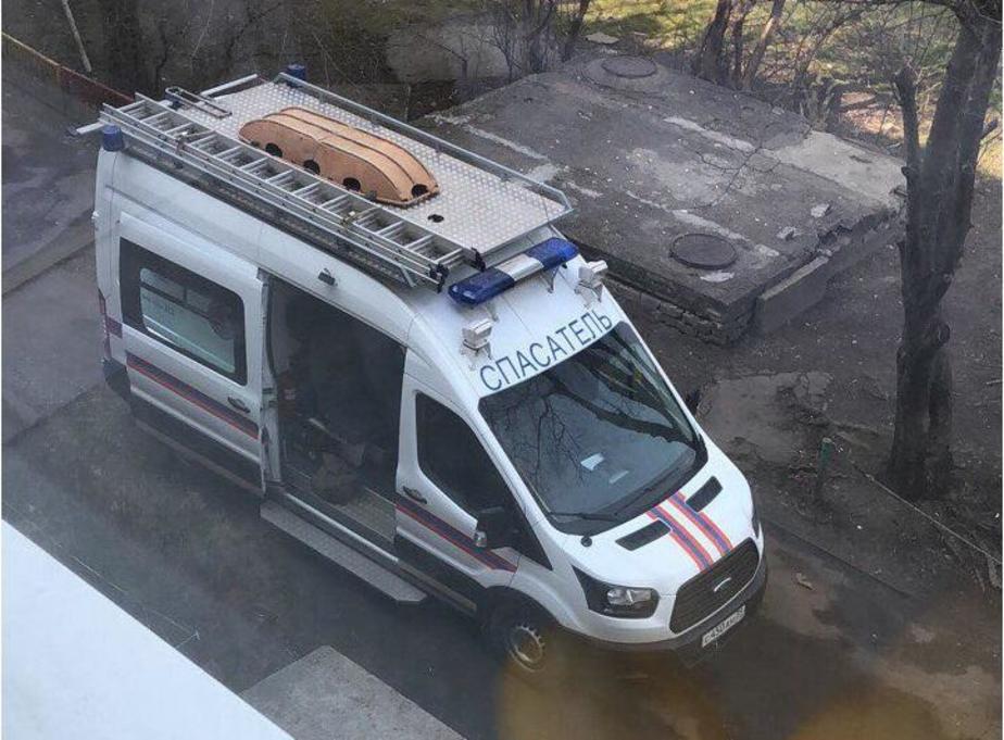 Фото предоставлено очевидцем