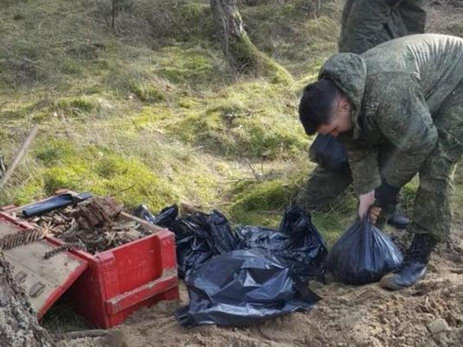 Фото: Национальный парк "Куршская коса"