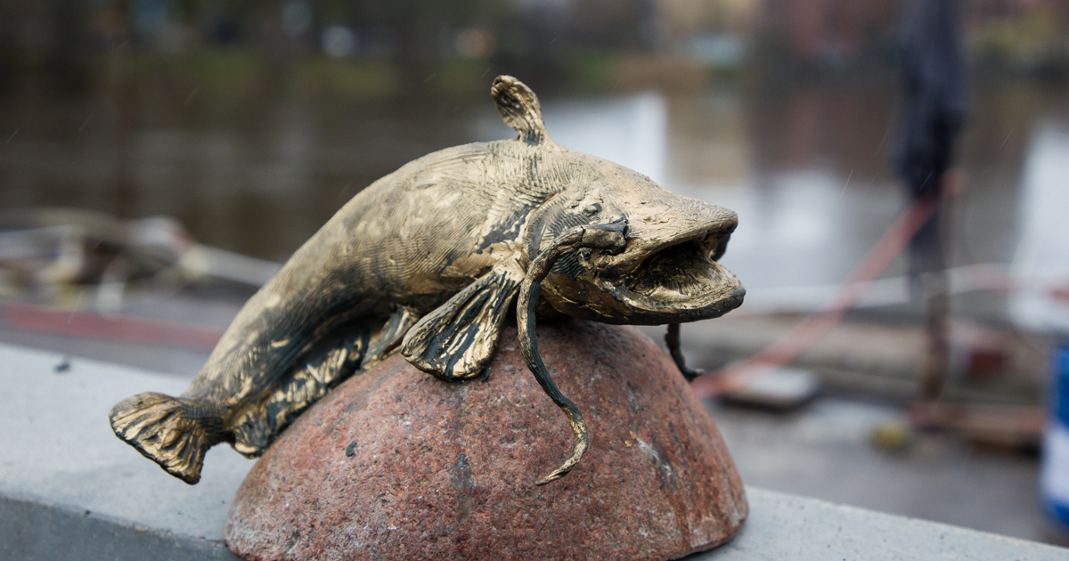 Власти Калининграда перенесут памятник сому - Новости Калининграда