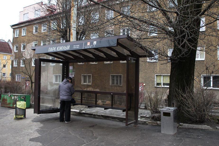 Фото: Александр Подгорчук / "Клопс"