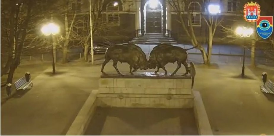 Кадр видеозаписи