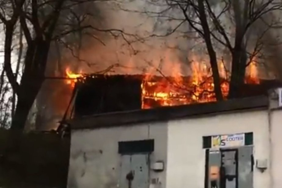 Фото: кадр из видео