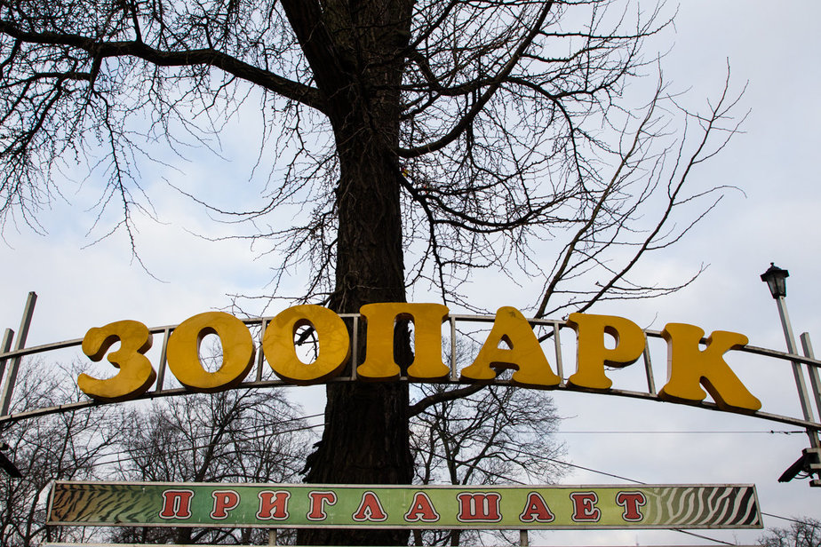 Архив "Клопс"