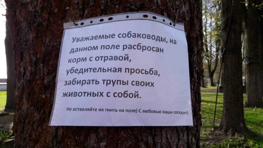 Фото: читатель "Клопс"