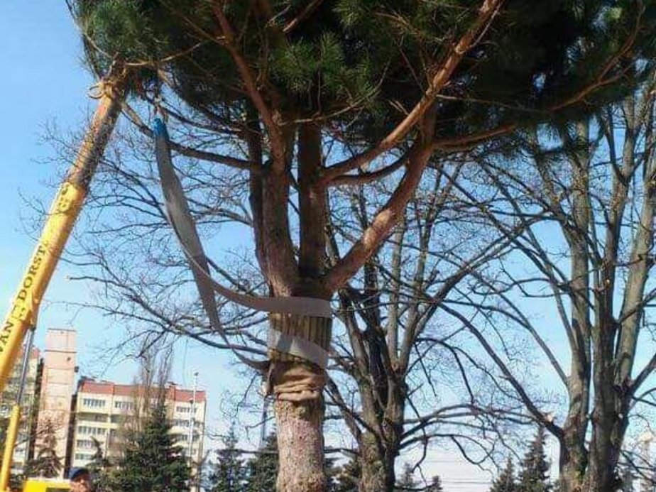 Архив "Клопс"