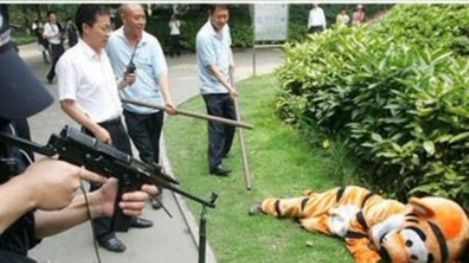 Скриншот со страницы издания Only In Asia / Twitter