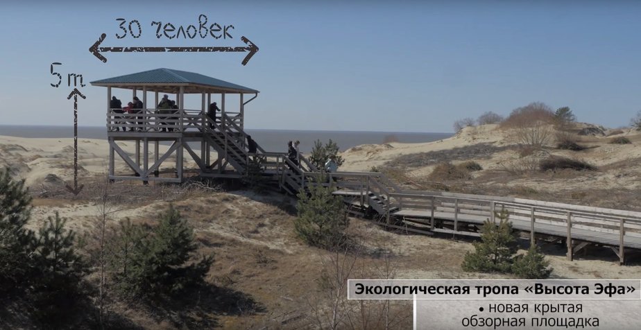 Кадр видеозаписи