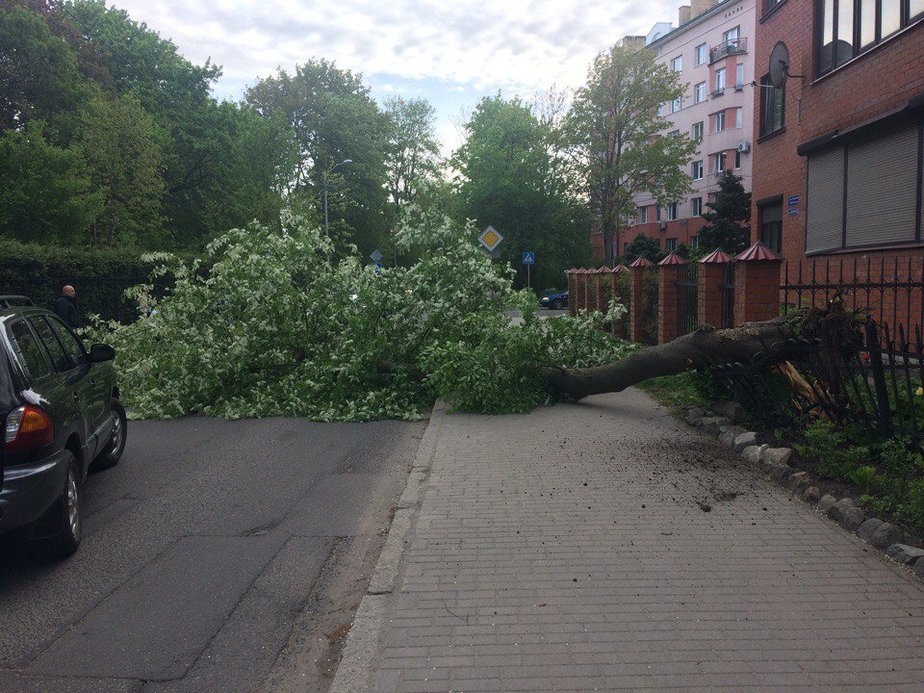 Фото: Олег Велиаров / Группа "Сообщество автомобилистов Калининграда и области" / "ВКонтакте"