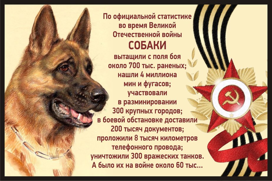Facebook / Екатерина Карамарина