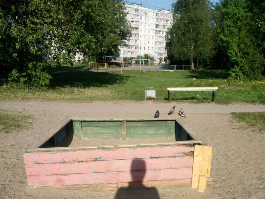 Фото: читательница "Клопс"