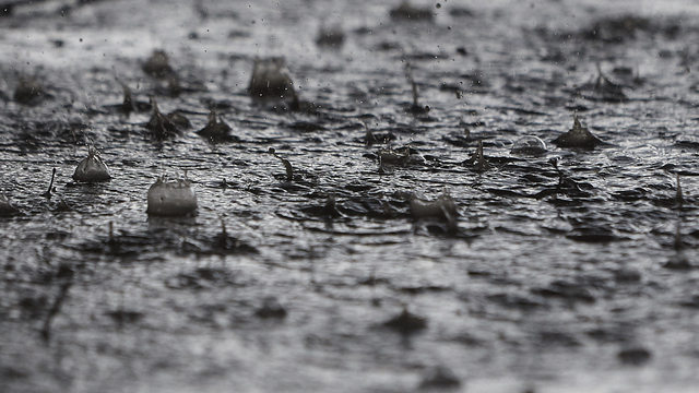 В выходные калининградцев ожидает дождь