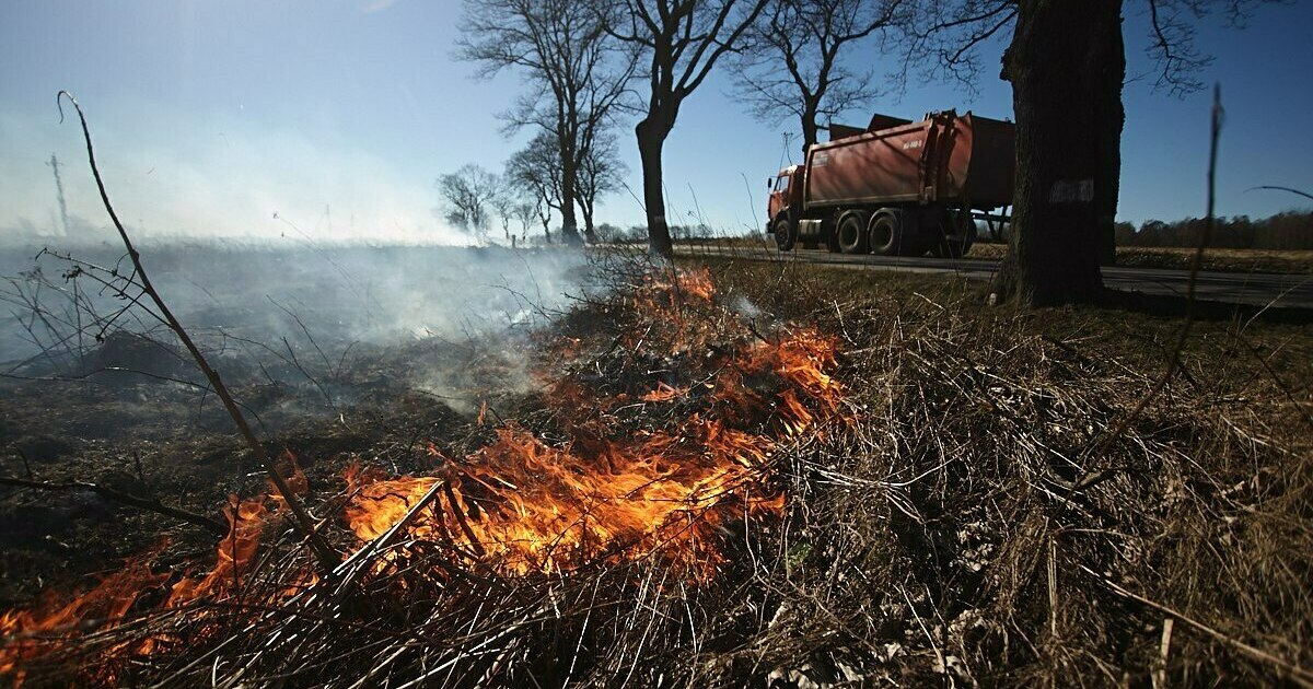 Заполнила небо метель колонна что пала с небес раскололась на три геншин импакт