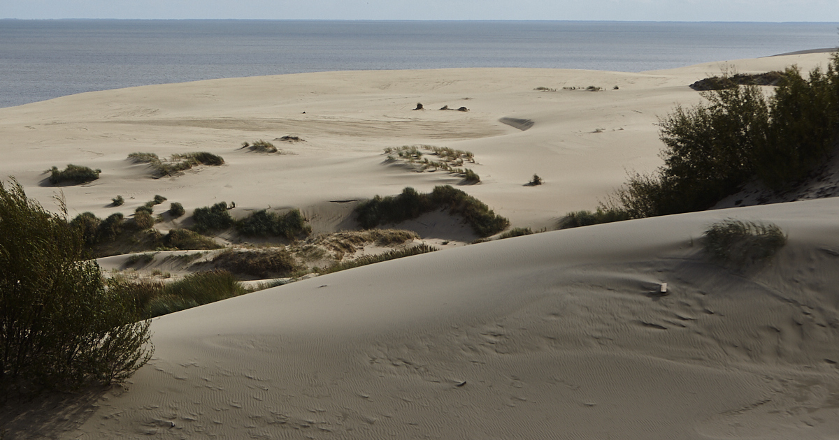 Прокуратура обнаружила на Куршской косе десять незаконных строек ...